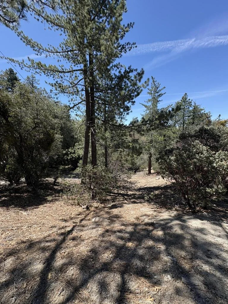 Photo of 0 Schaffer Drive