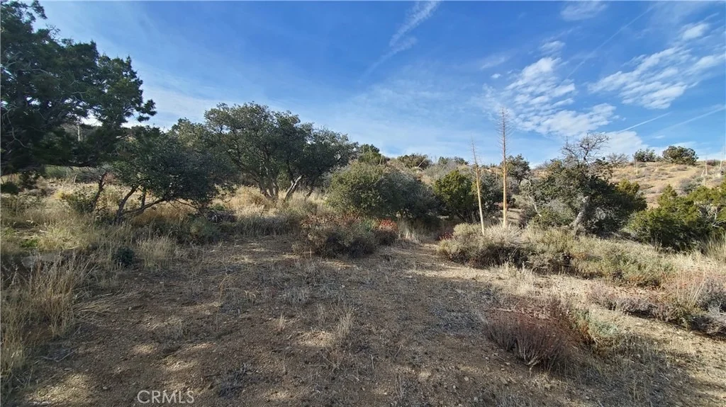 Photo of 0 Vicinity Ross Road E
