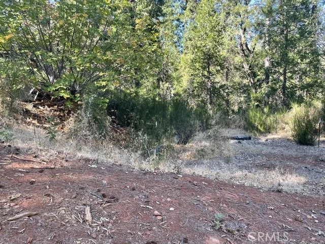 Photo of 0 Old Forbestown Road