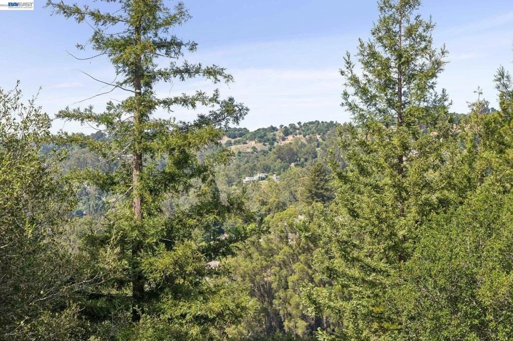 Photo of 55 Asilomar Cir