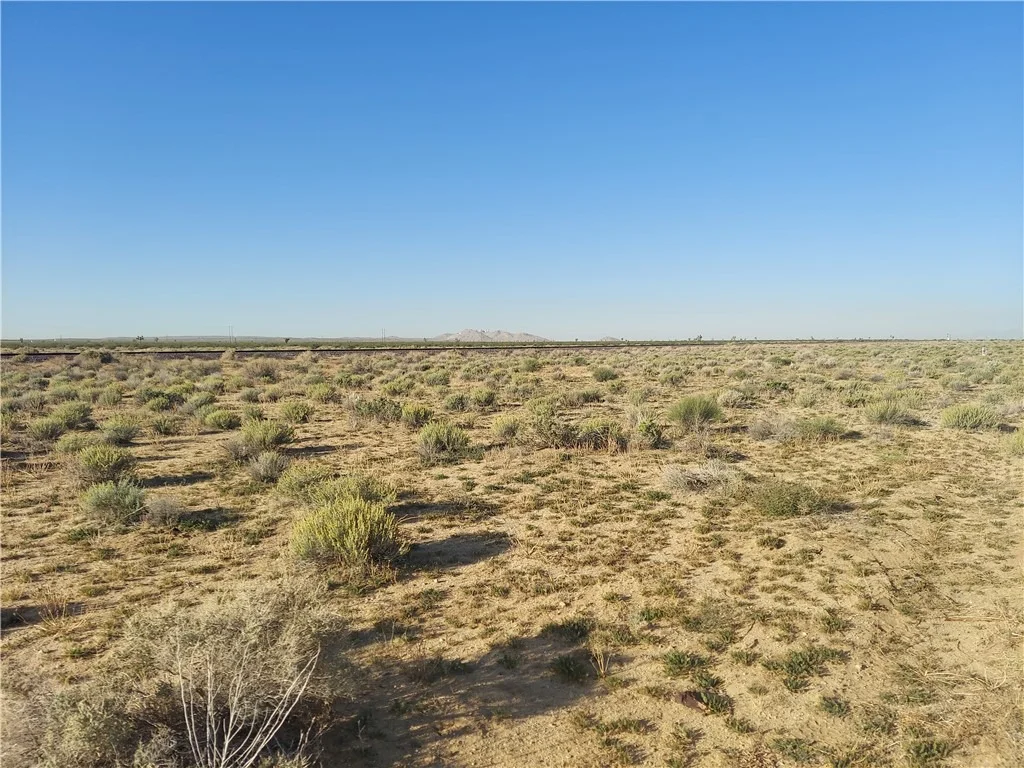 Photo of 0 Twenty Mule Team Rd #2
