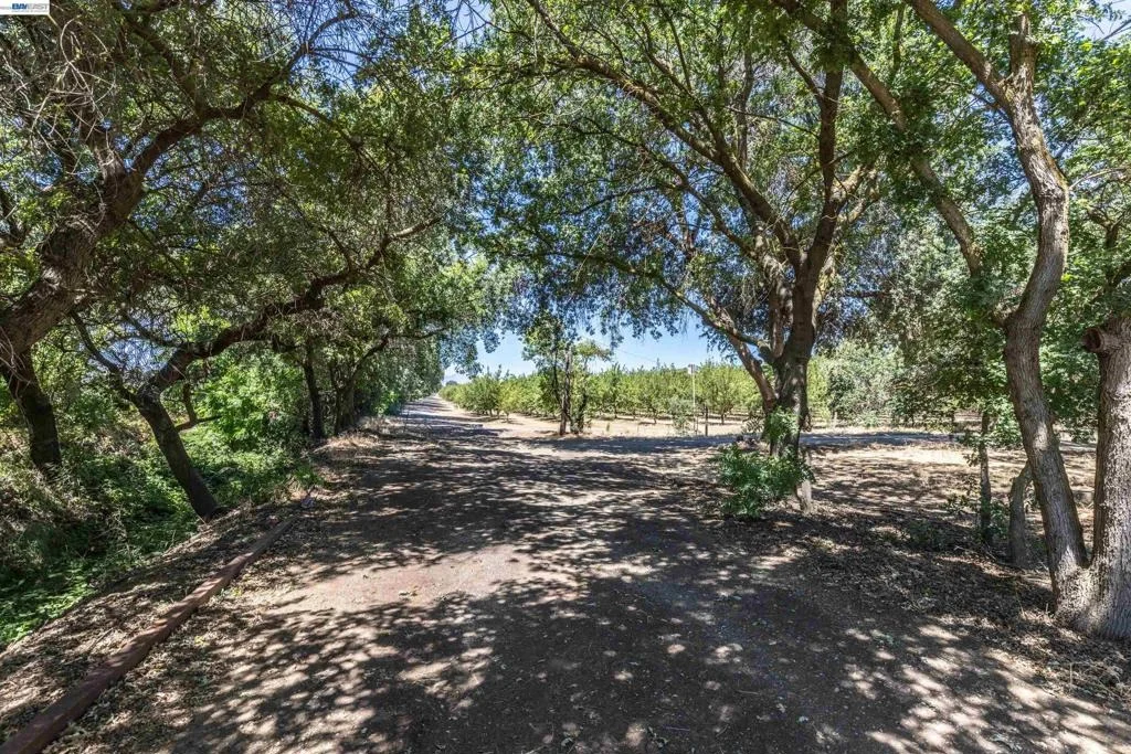 Photo of 3515 Kellogg Creek Rd