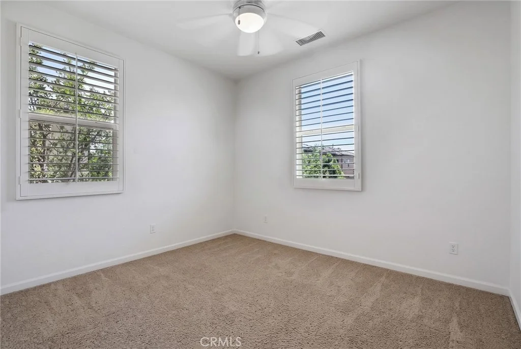 Photo of 35 Clover
