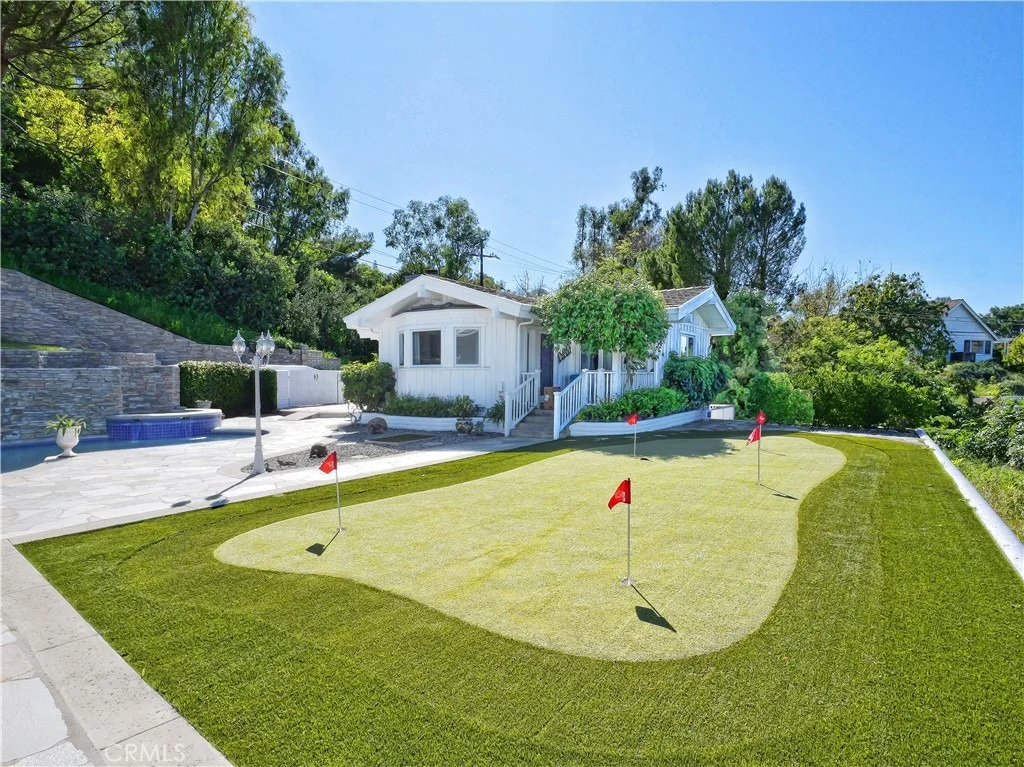 Photo of 49 Saddleback