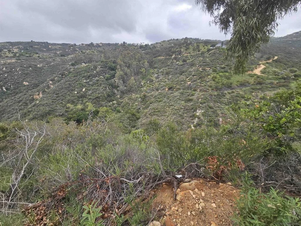 Photo of 6465 Rainbow Heights