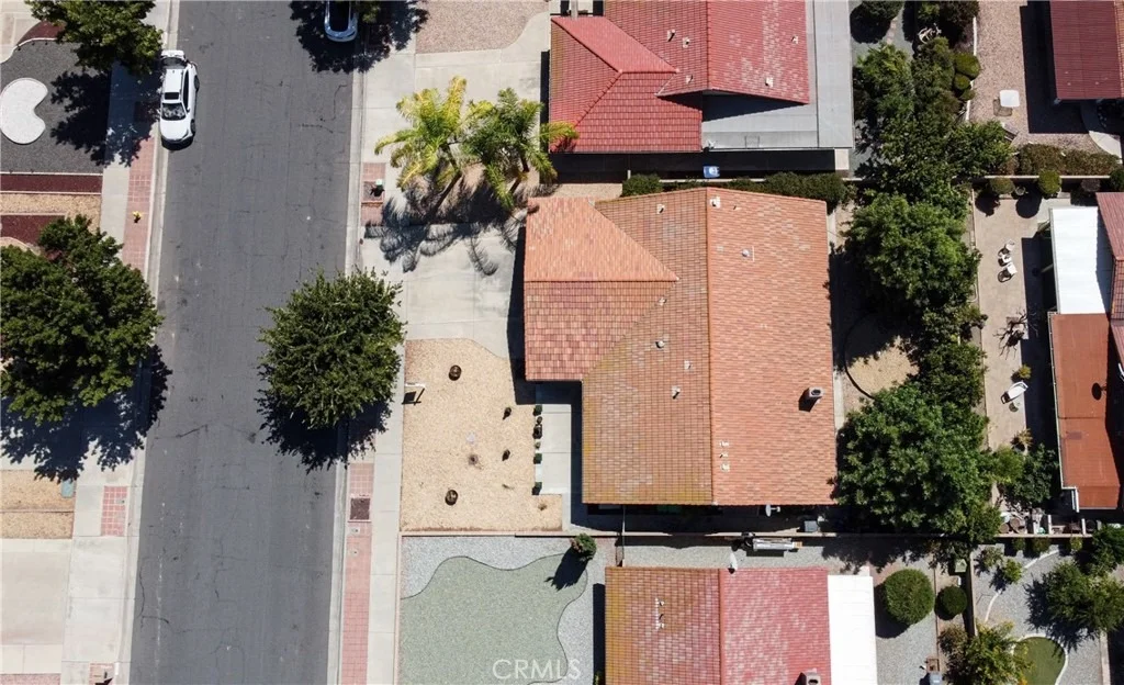 Photo of 2115 Flame Tree