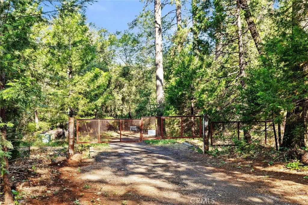 Photo of 14087 Nimshew
