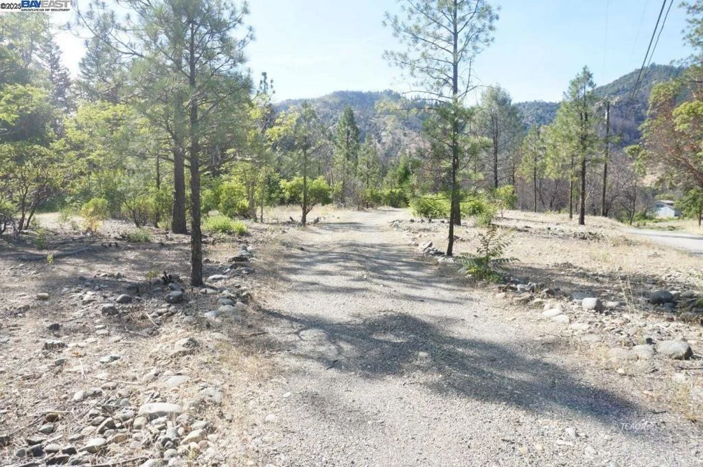 Photo of 101 River Acres