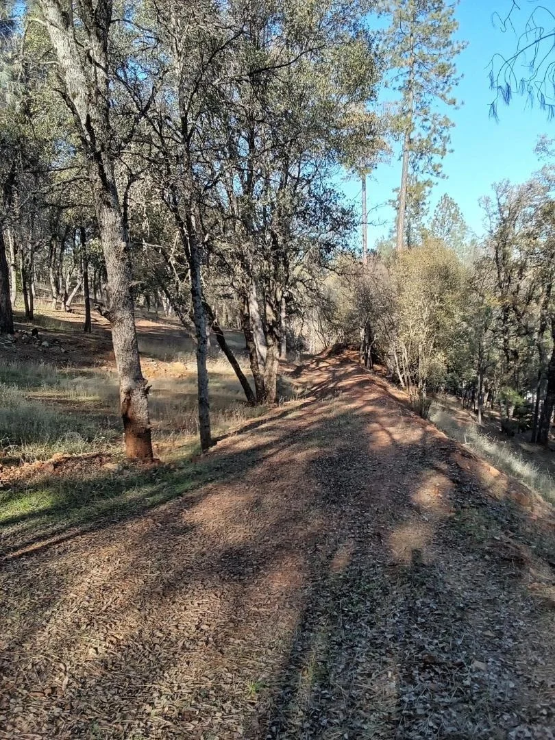 Photo of 10255 Turkey Trot Place