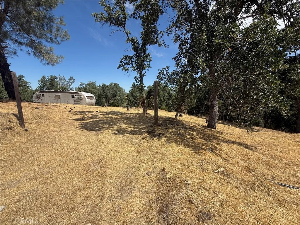 Photo of 16318 Longhorn Lane
