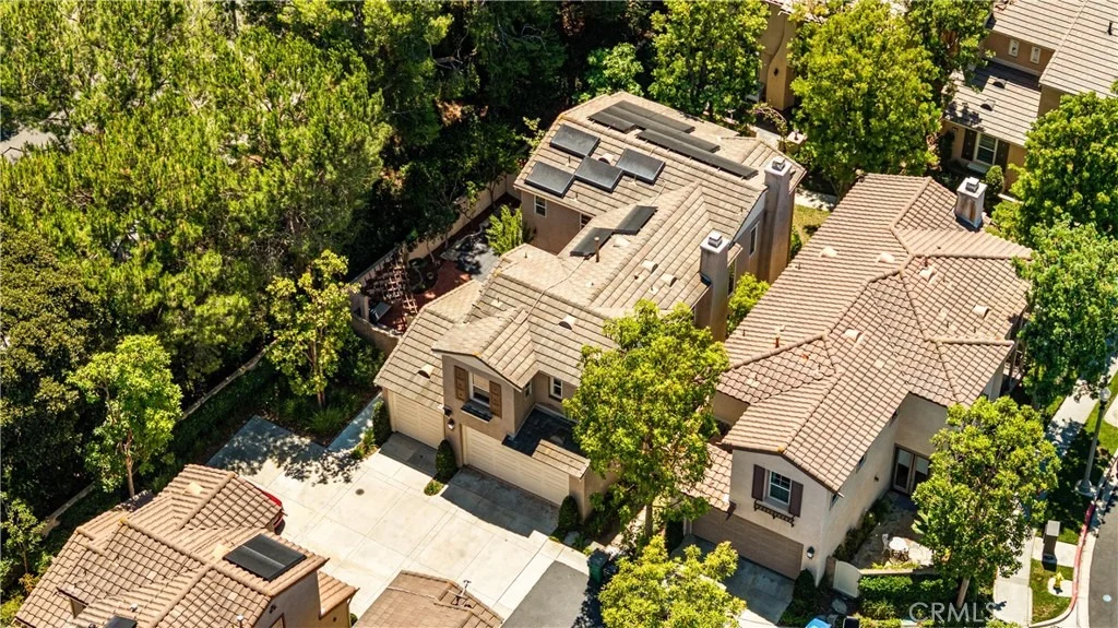 Photo of 97 Canopy
