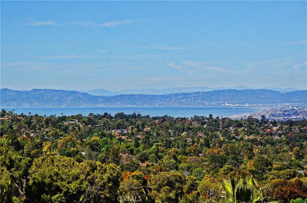 Photo of 49 Saddleback