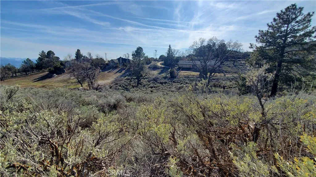 Photo of 25041 Jacaranda Drive