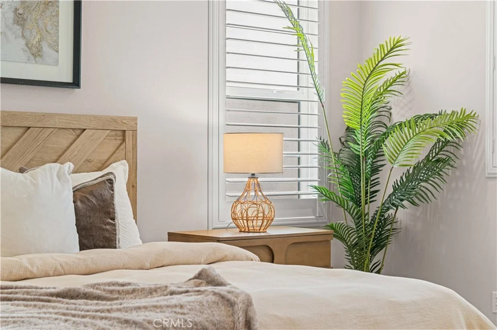 Photo of 200 Brackens