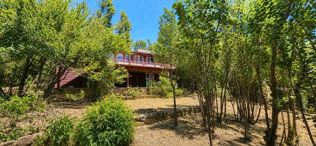 Photo of 34767 Natchez Trail