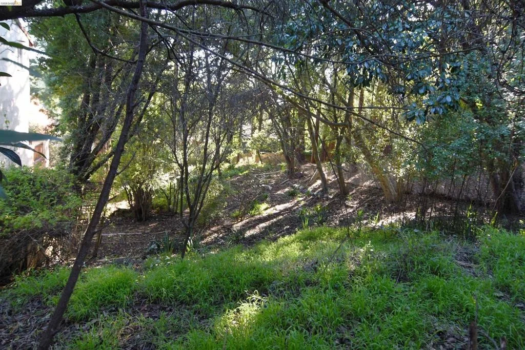 Photo of 962 Regal Rd