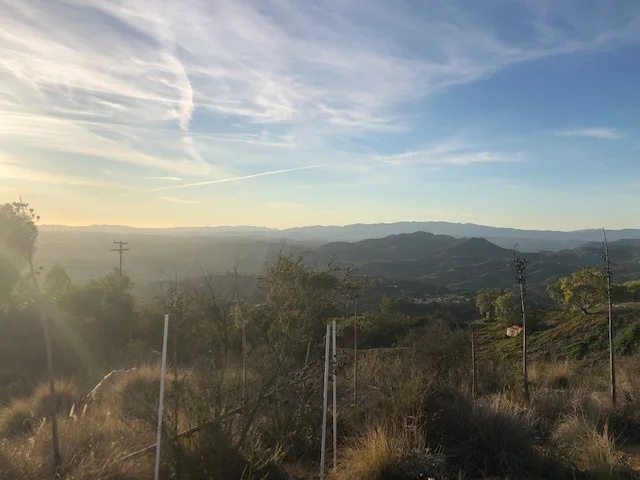Photo of 0 Rainbow Crest