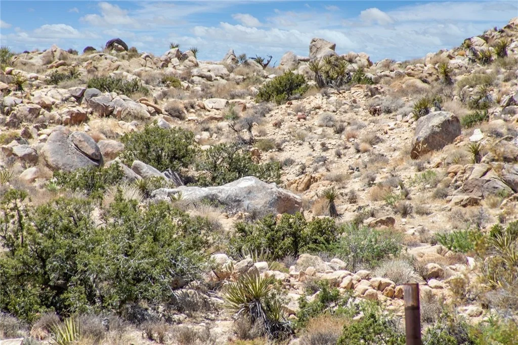 Photo of 60300 Mountain Trail