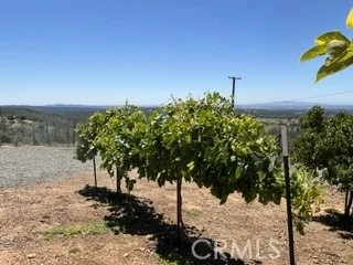Photo of 247 Viewcrest