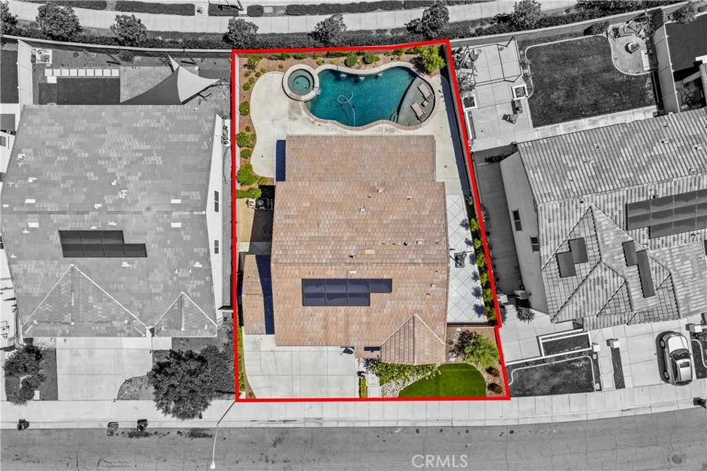 Photo of 29136 Tanoak