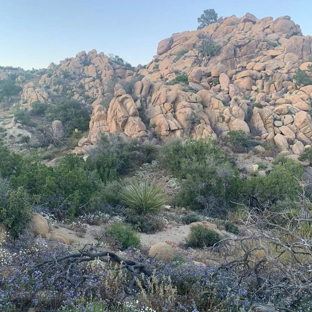 Photo of 5850 Cactus Canyon Trail