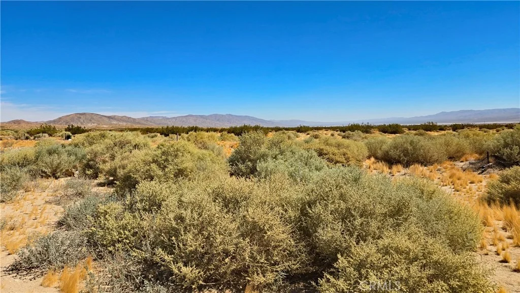 Photo of 0 Cholla Rd