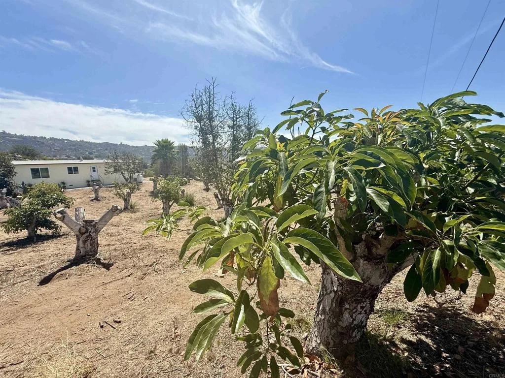 Photo of 1843 Canyon Heights Road