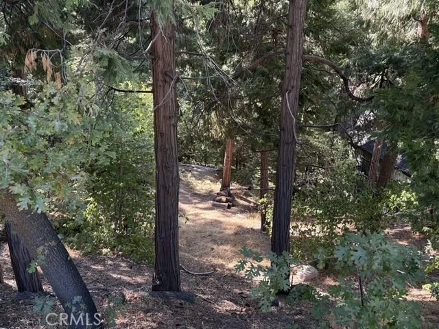 Photo of 27917 Squirrel Lane