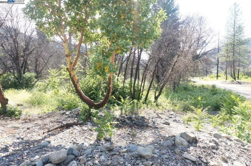 Photo of 101 River Acres