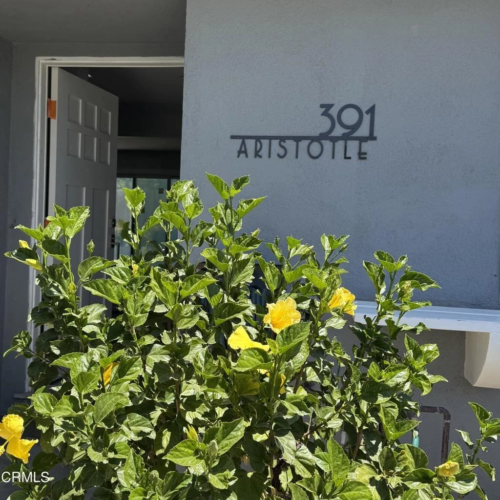 Photo of 391 Aristotle Street