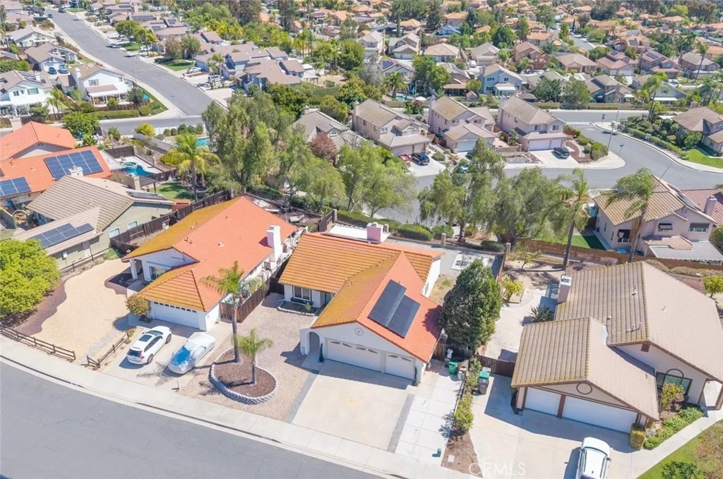 Photo of 25251 Ridgeplume