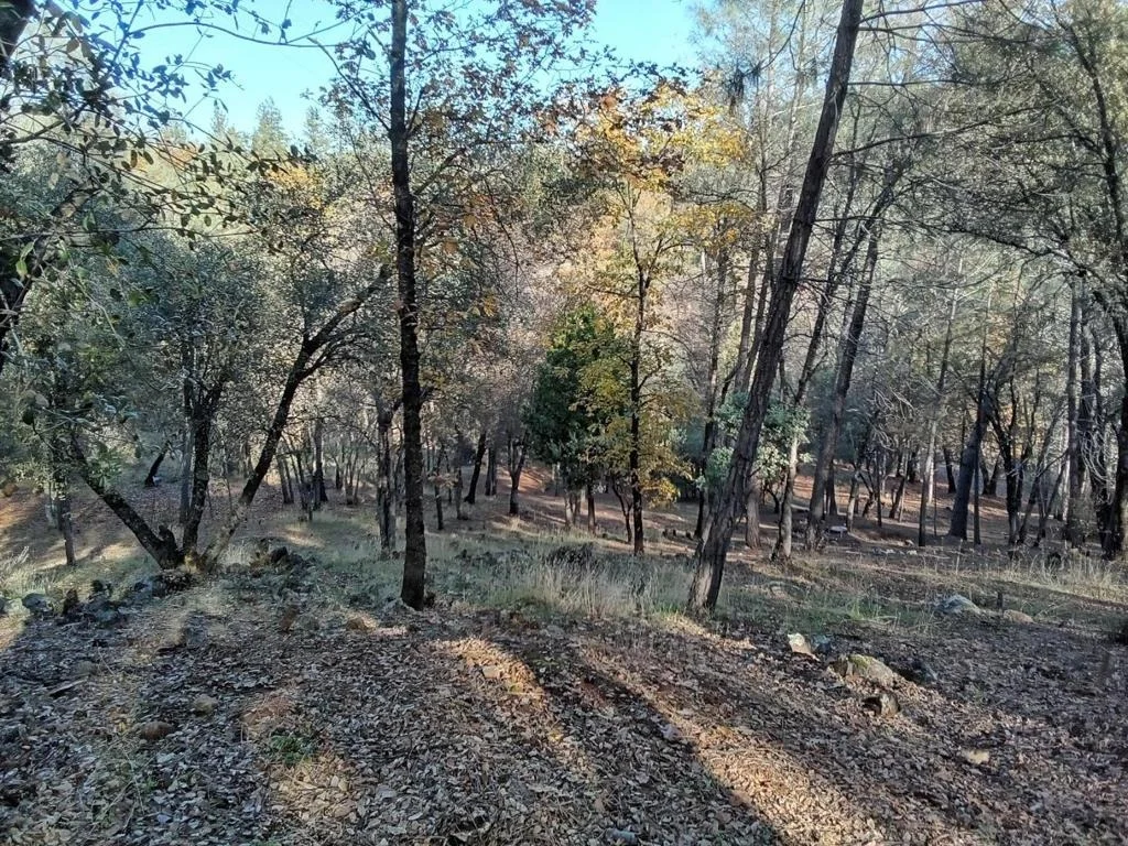 Photo of 10255 Turkey Trot Place