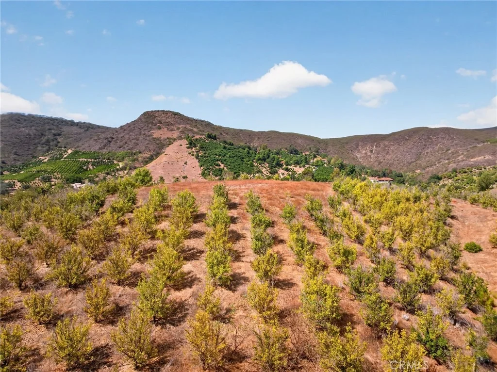 Photo of 16 Terreno