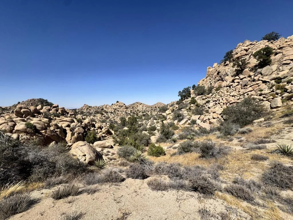 Photo of 5990 Acoma Trail