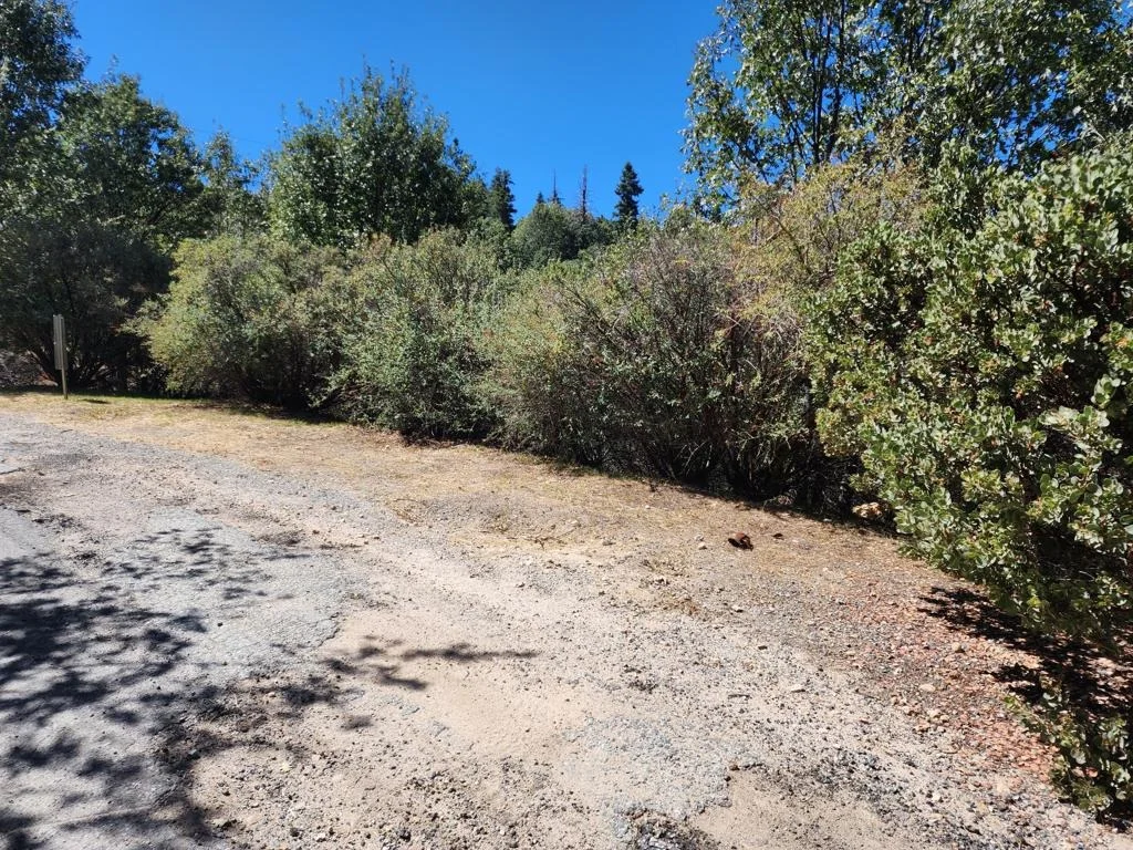 Photo of 522 Elder Drive