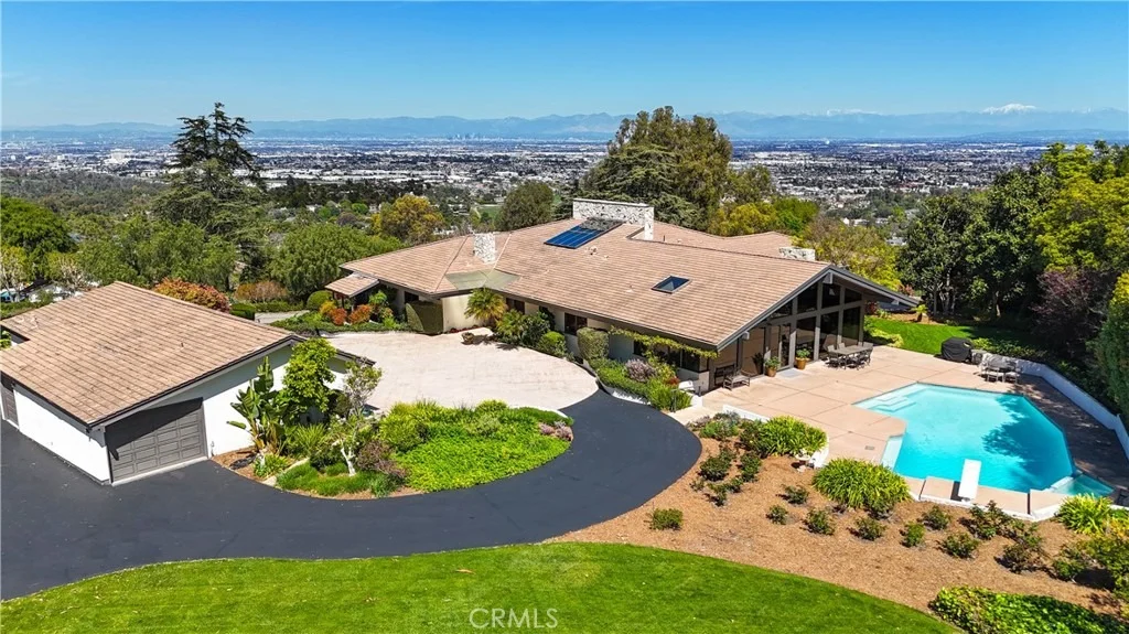 Photo of 57 Saddleback