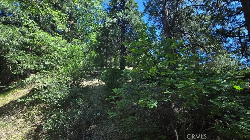 Photo of 22494 Mojave River Road