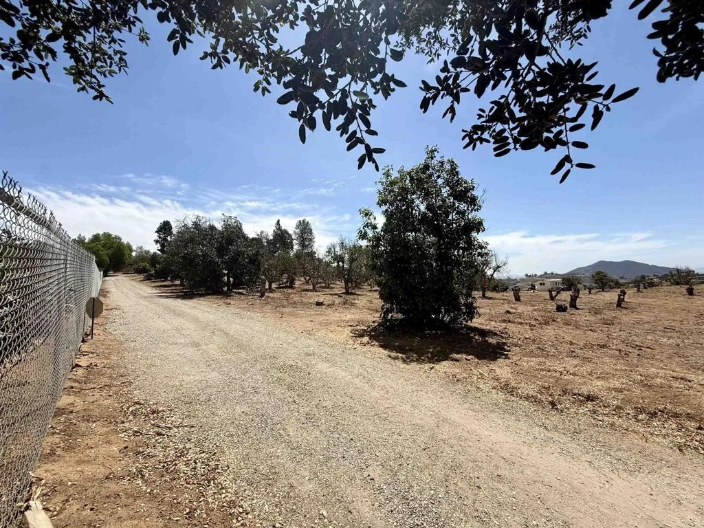 Photo of Canyon Heights Road