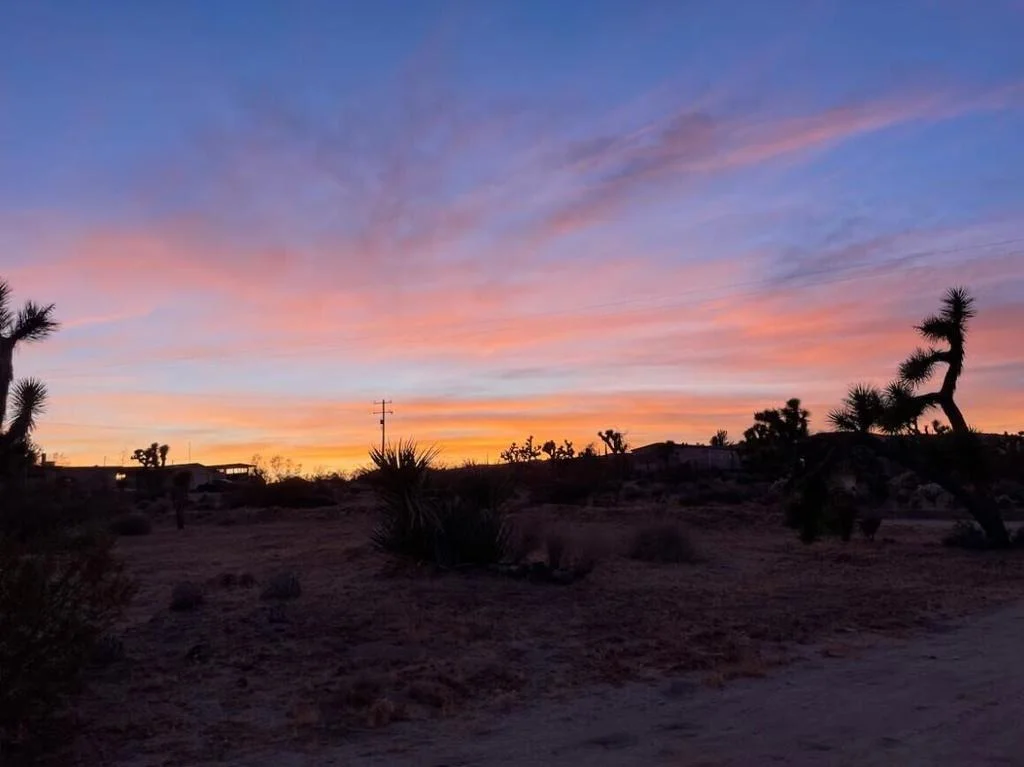 Photo of 4039 Greasewood Lane