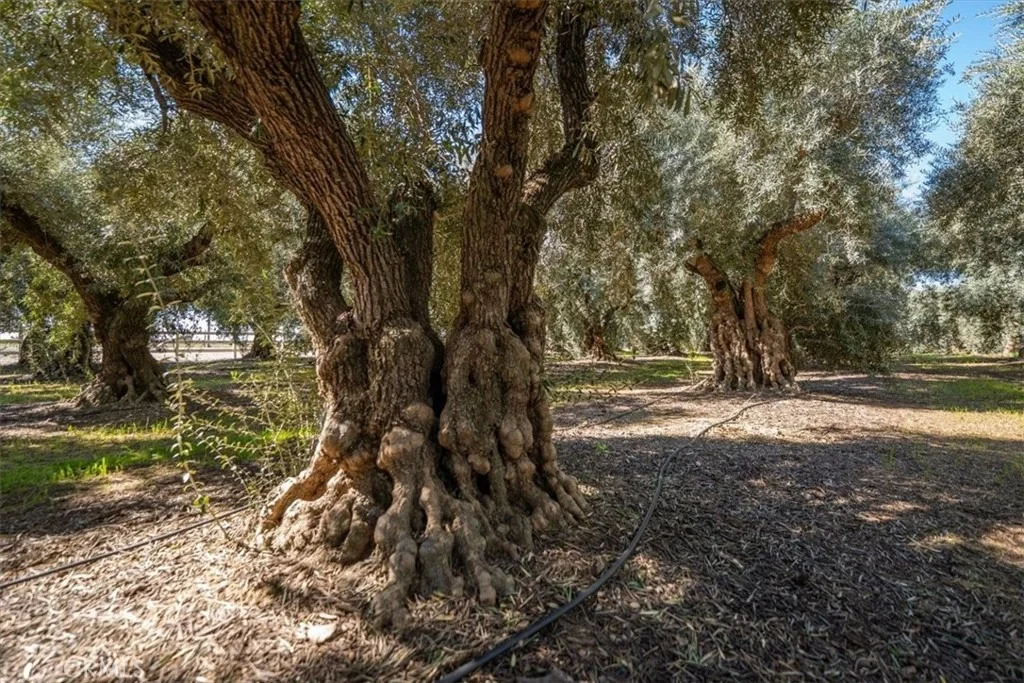 Photo of 24840 South