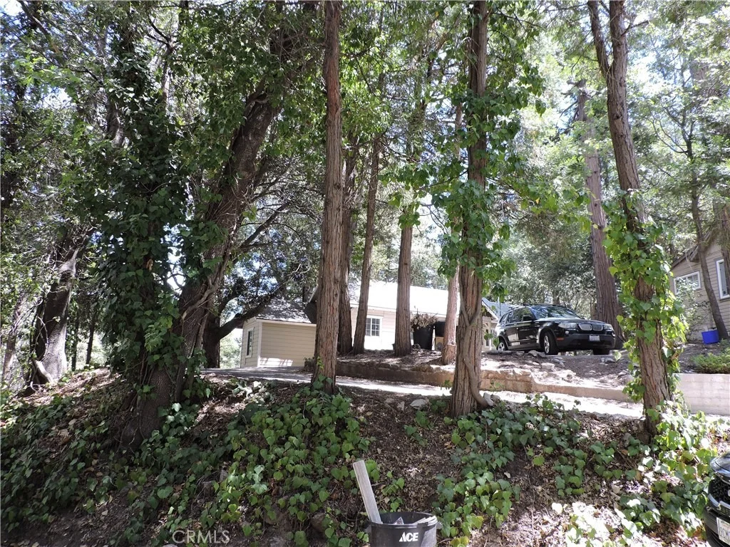 Photo of 657 Knoll