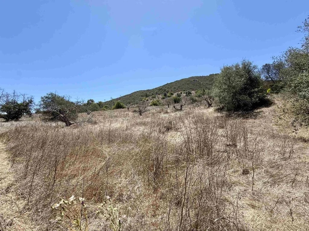 Photo of 9927 Modrigan Lane