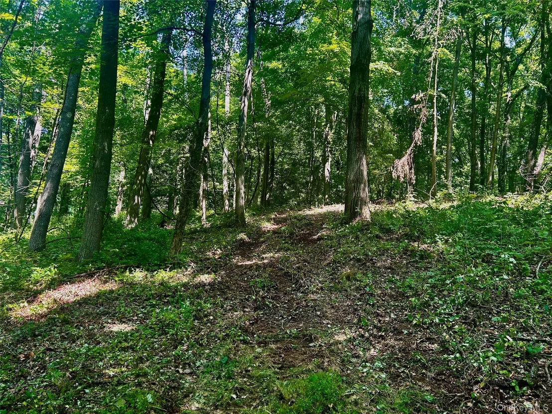 Photo of 109 Deer Run Road
