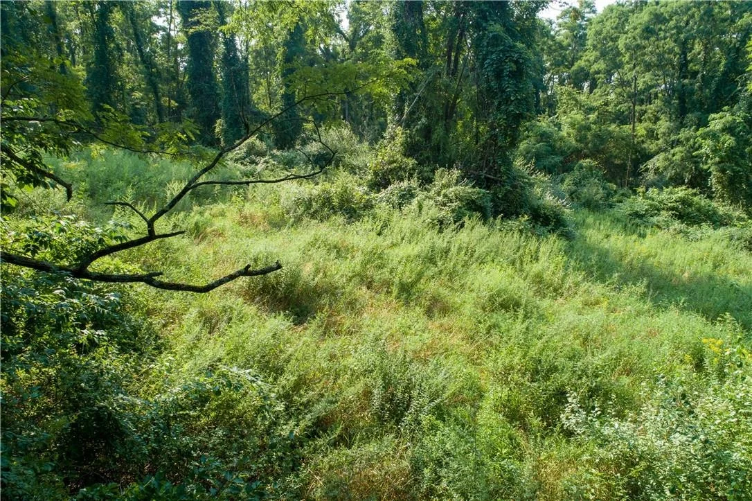 Photo of 8 Ravine Road