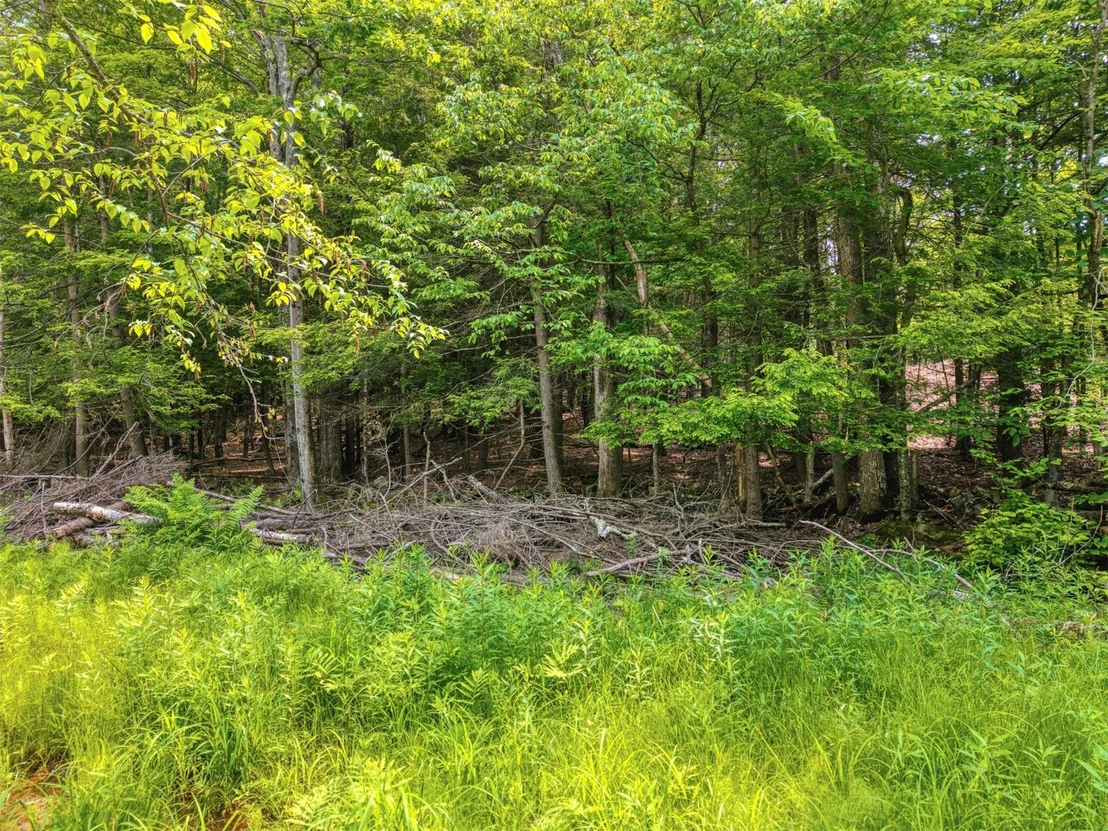 Photo of TBD Boulder Brook lot 13B Road