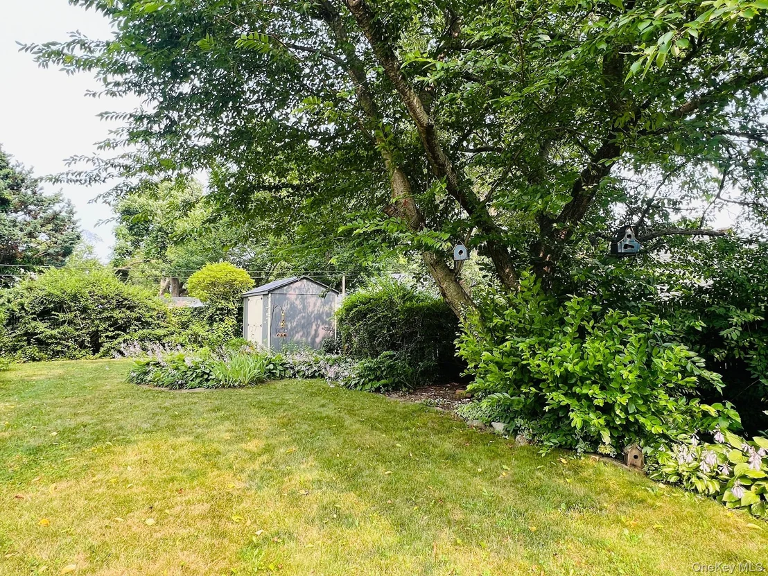 Photo of 36 Orange Street