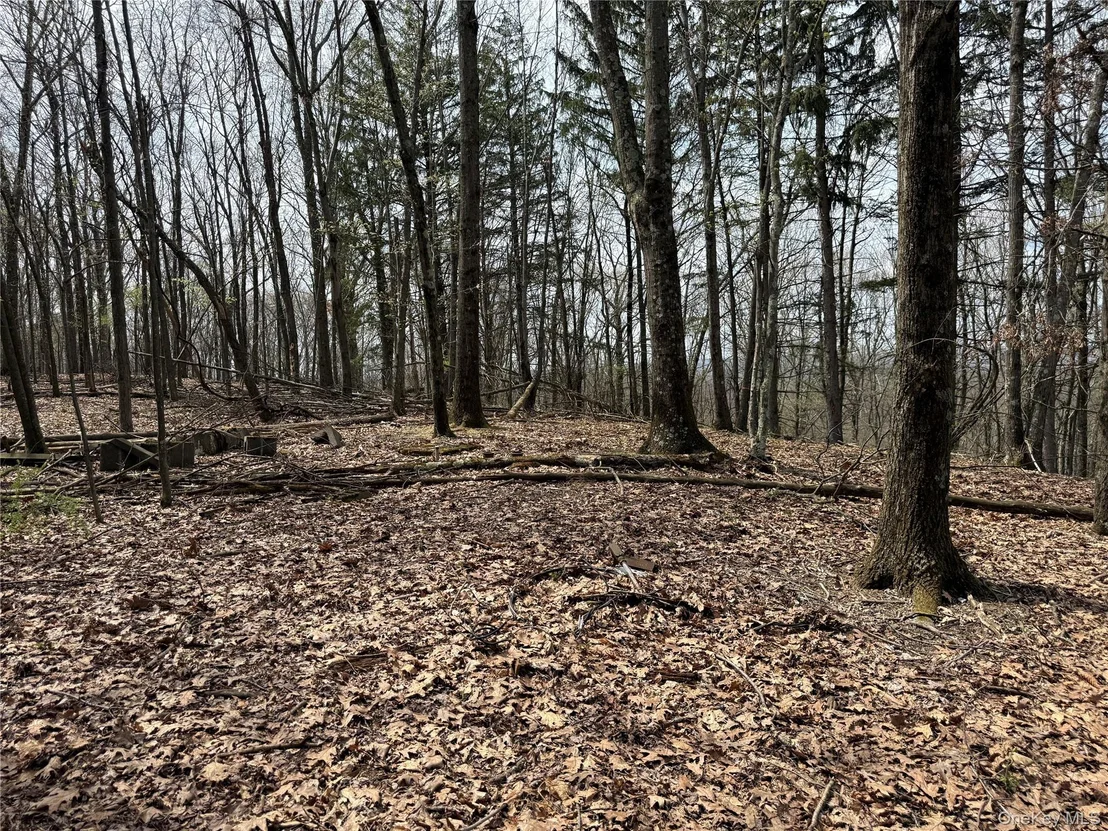 Photo of 383 Connors Road