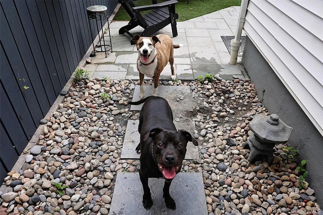 Photo of 8 Dumond Place