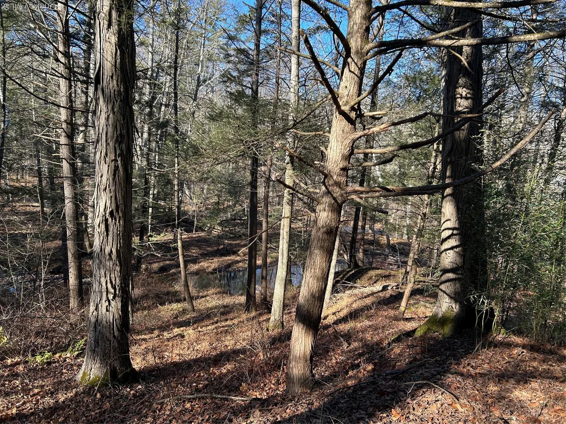 Photo of 26 MossyBrook Road