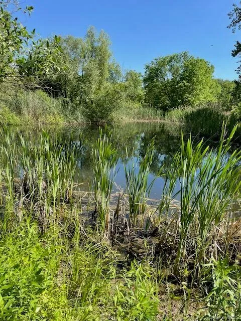 Photo of 2228 State Route 203